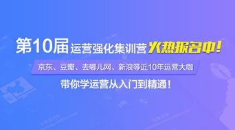 互聯(lián)網(wǎng)銷售的核心策略與運(yùn)營(yíng)實(shí)踐